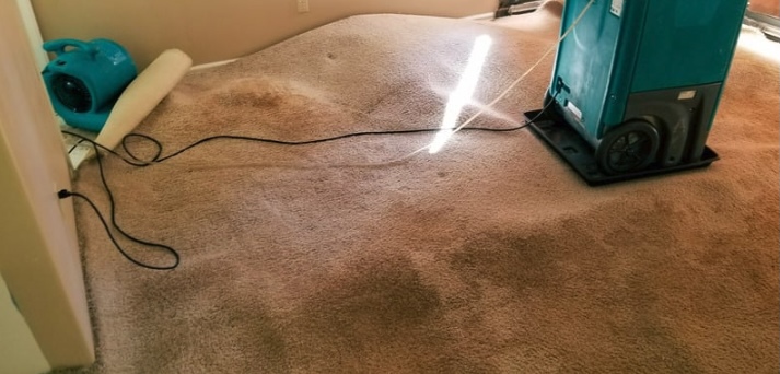 Water-Damaged Carpets In Toms River, NJ