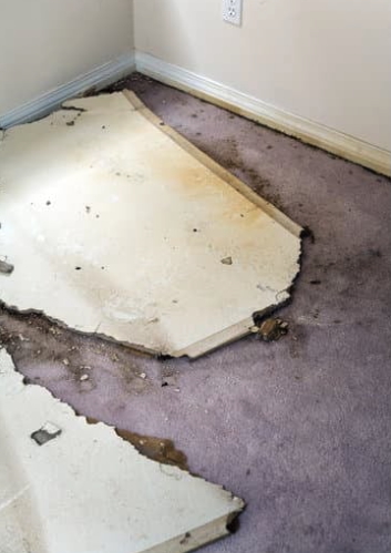 Water Damage Carpet Repair in Toms River, NJ
