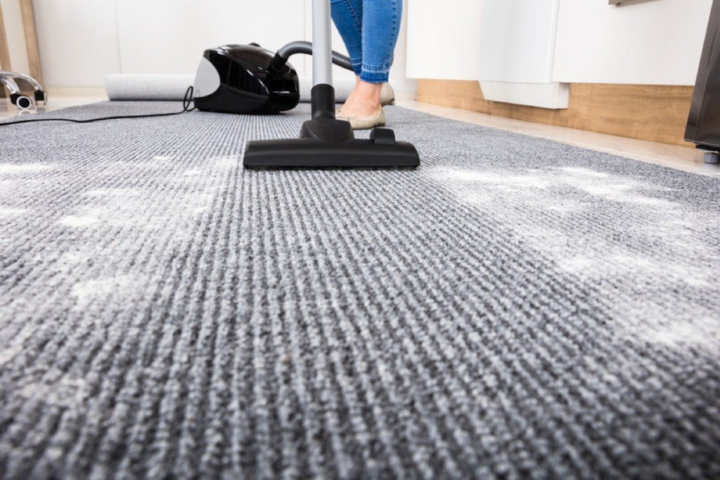 What to Do Before Your Carpet Cleaning Appointment