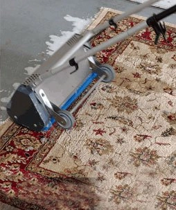 Using A Rug Cleaning Company In Toms River Is Your Best Option