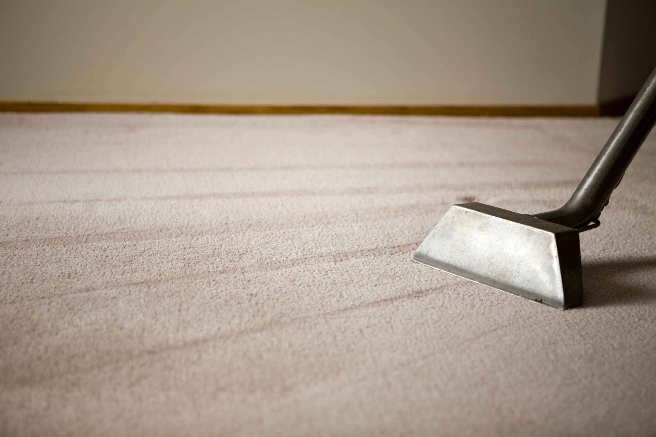 Keeping Rugs And Homes Healthy With Cleaning Services