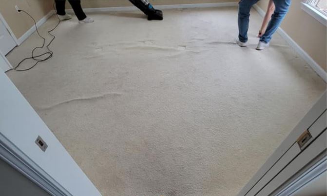 monmouth county carpet stretching services near me ocean county