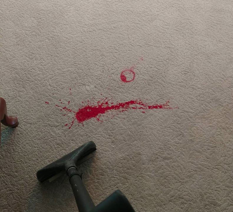 carpet spot removal and how to get stains out of your carpet in ocean county