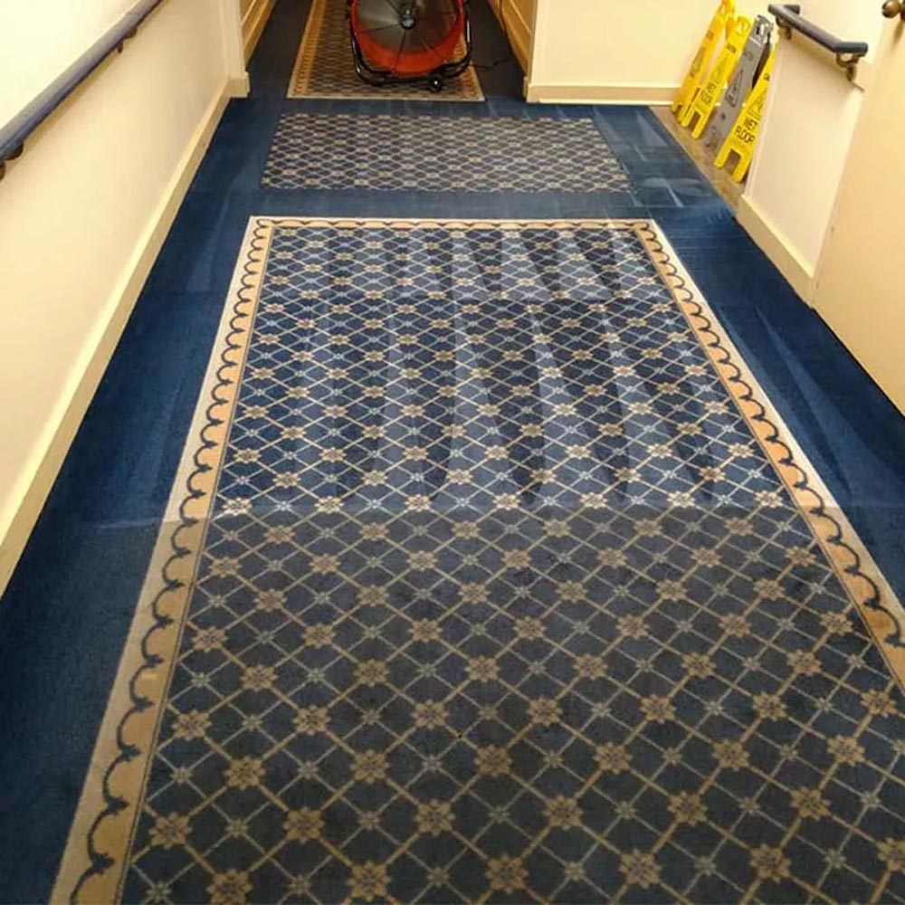 Jersey Shore Area carpet cleaner for business and companies
