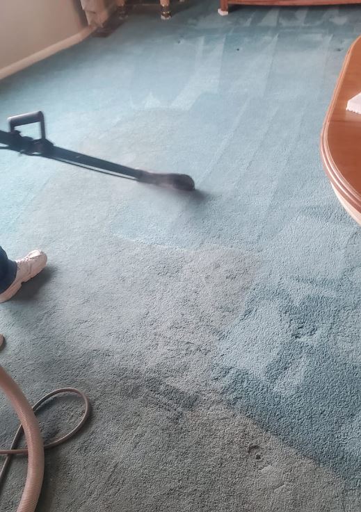hot water extraction carpet cleaning ocean county