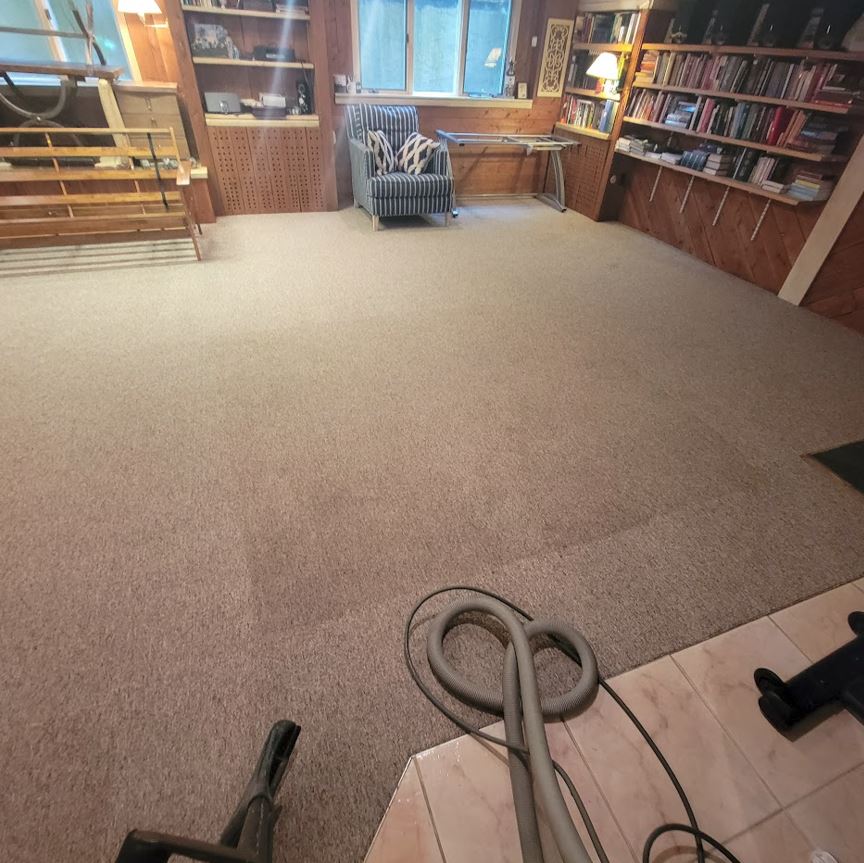Professional Scotchgard Application For Stain Resistant Carpet