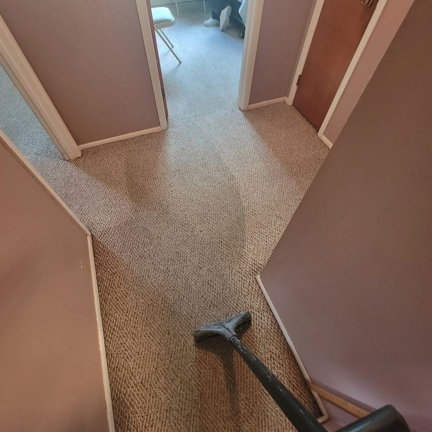 https://gmservicesnj.com/wp-content/uploads/2022/11/stain-resistant-carpet-scotchgard1.jpg