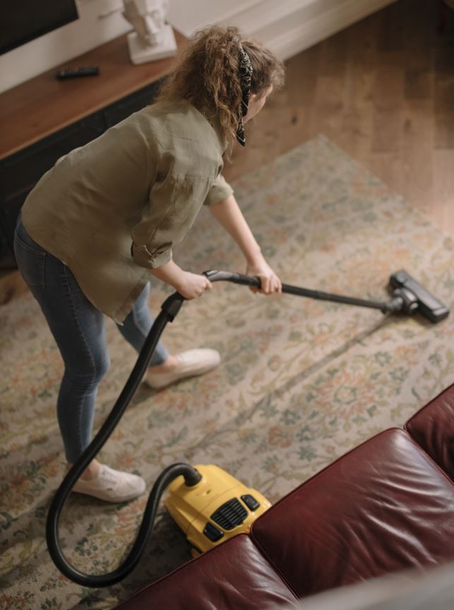 Tips To Keep Carpets Clean In Your Rental Property