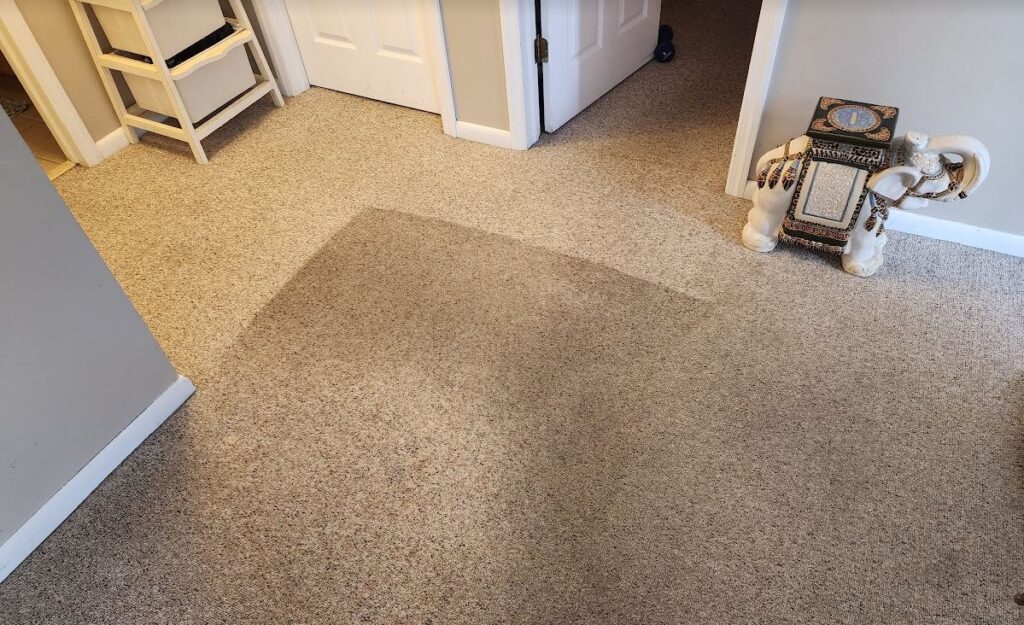 wet carpet water damage monmouth county new jersey