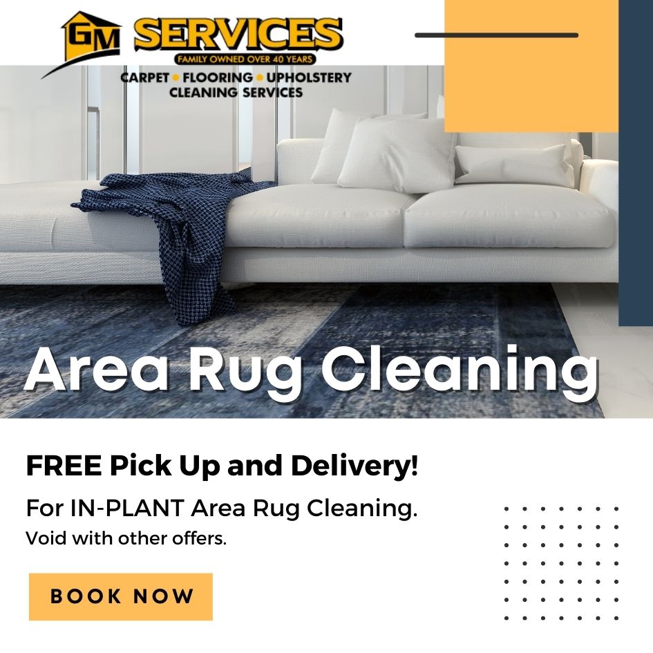 area rug cleaning special Monmouth County, NJ