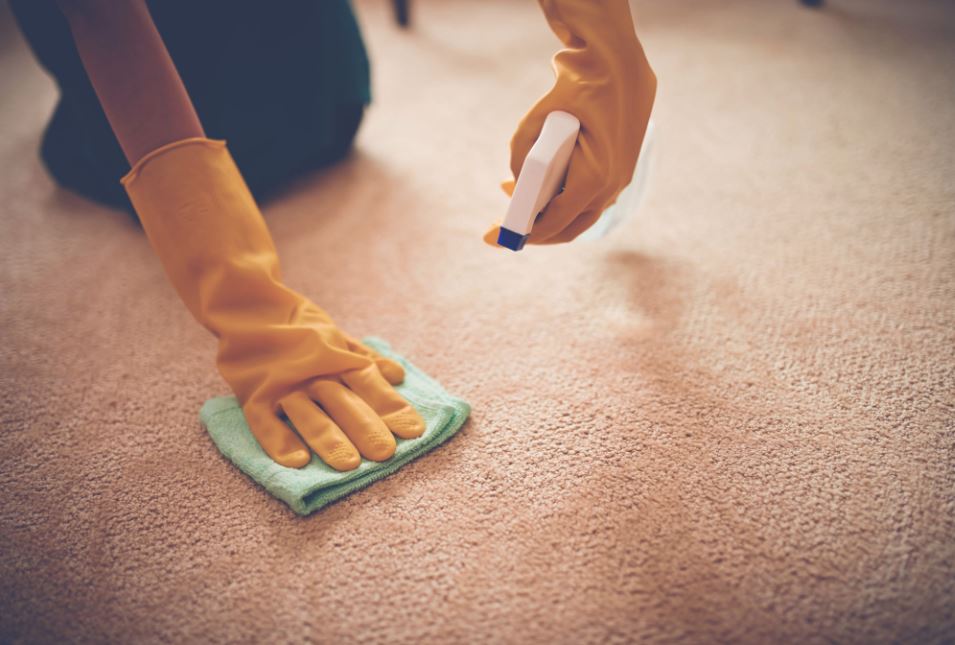 nj carpet stain removal new jersey get spots out of carpet