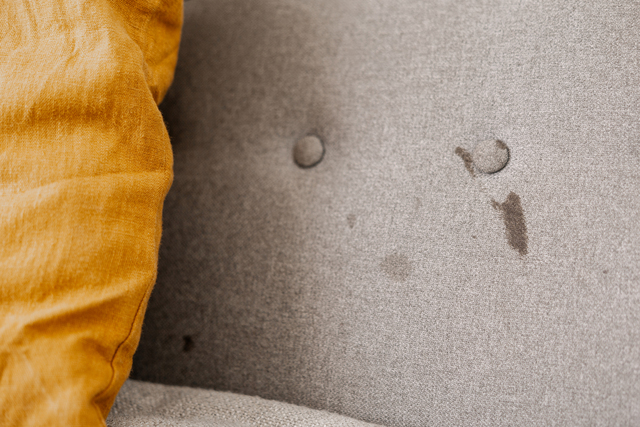 upholstery stains cleaned by professionals in ocean and monmouth county