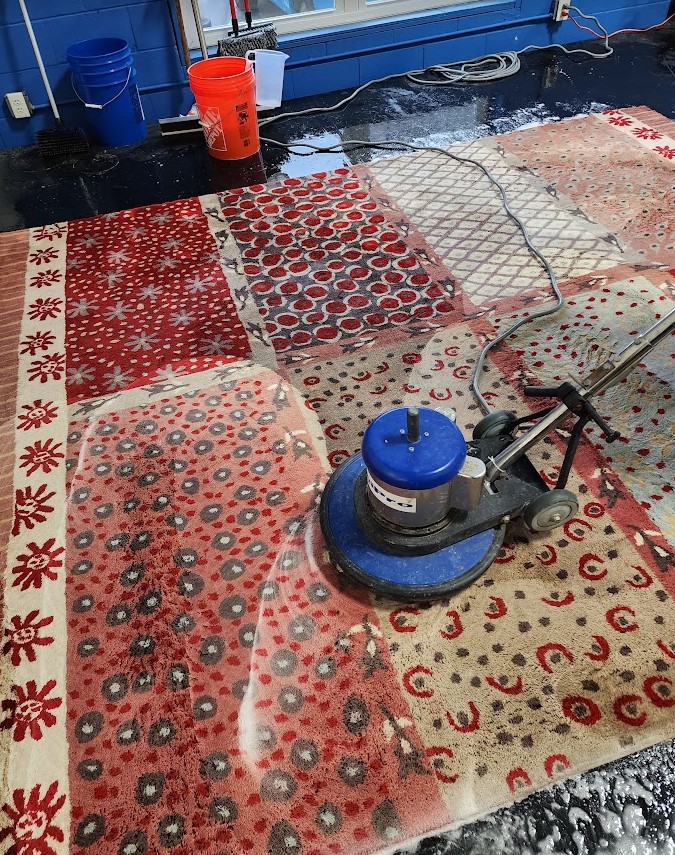 professional area rug cleaning in Eagleswood, New Jersey