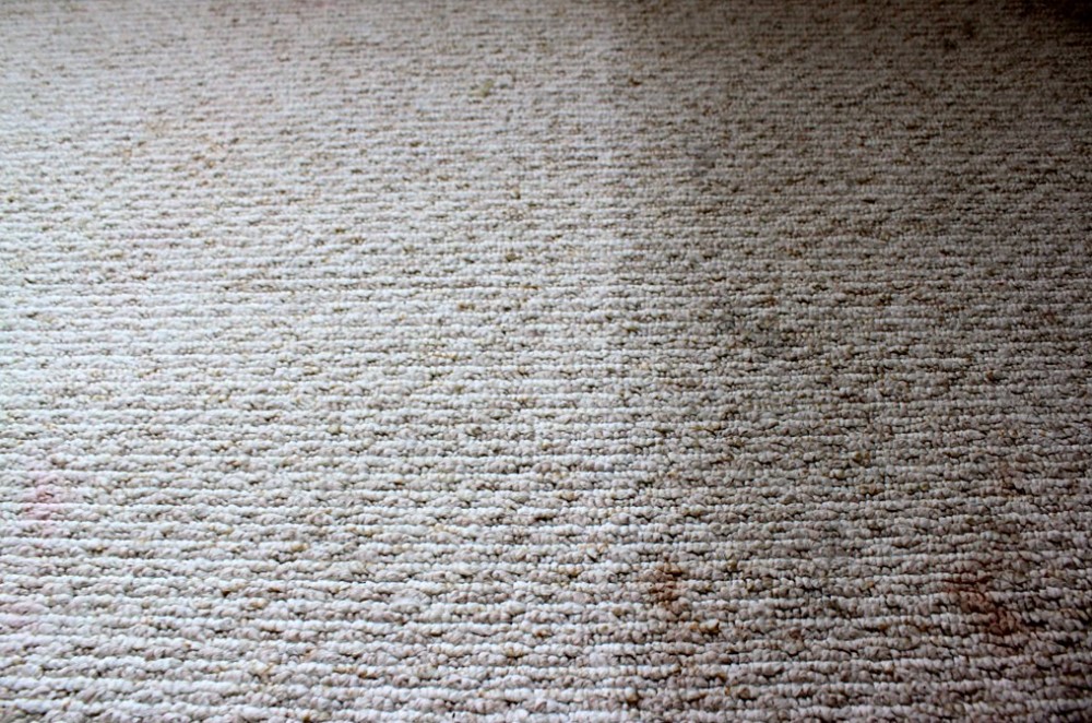 carpet stain removal in howell new jersey