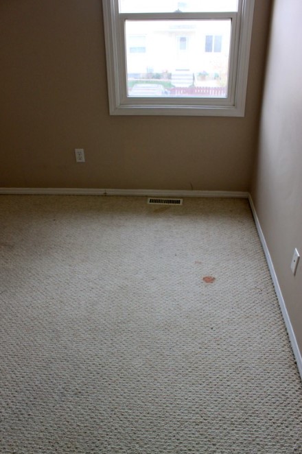 carpet stain removal in Monmouth County, NJ