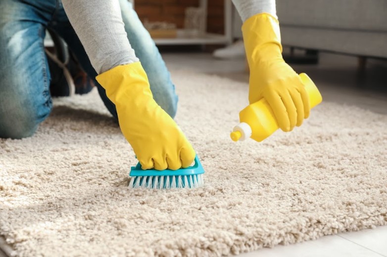 professional area rug scrubbing