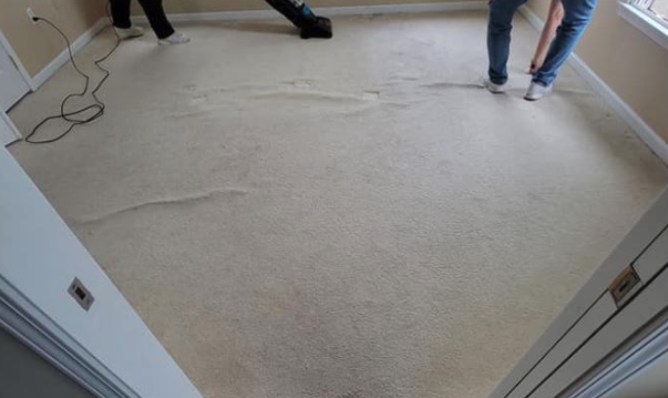 best carpet repair service near me