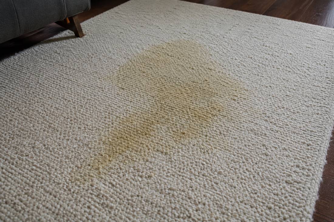 Why Home Cleaning Methods Cannot Remove Pet Urine From Area Rugs