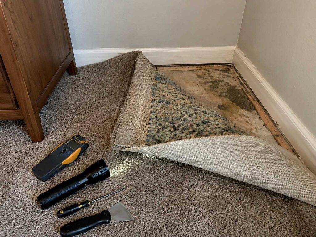 Carpet corner lifted to show wet padding and water damage in Ocean County NJ